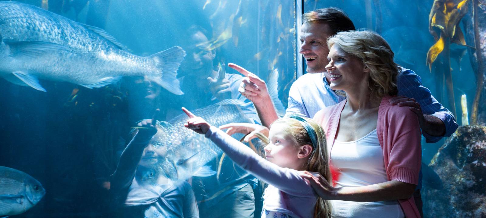 Georgia Aquarium